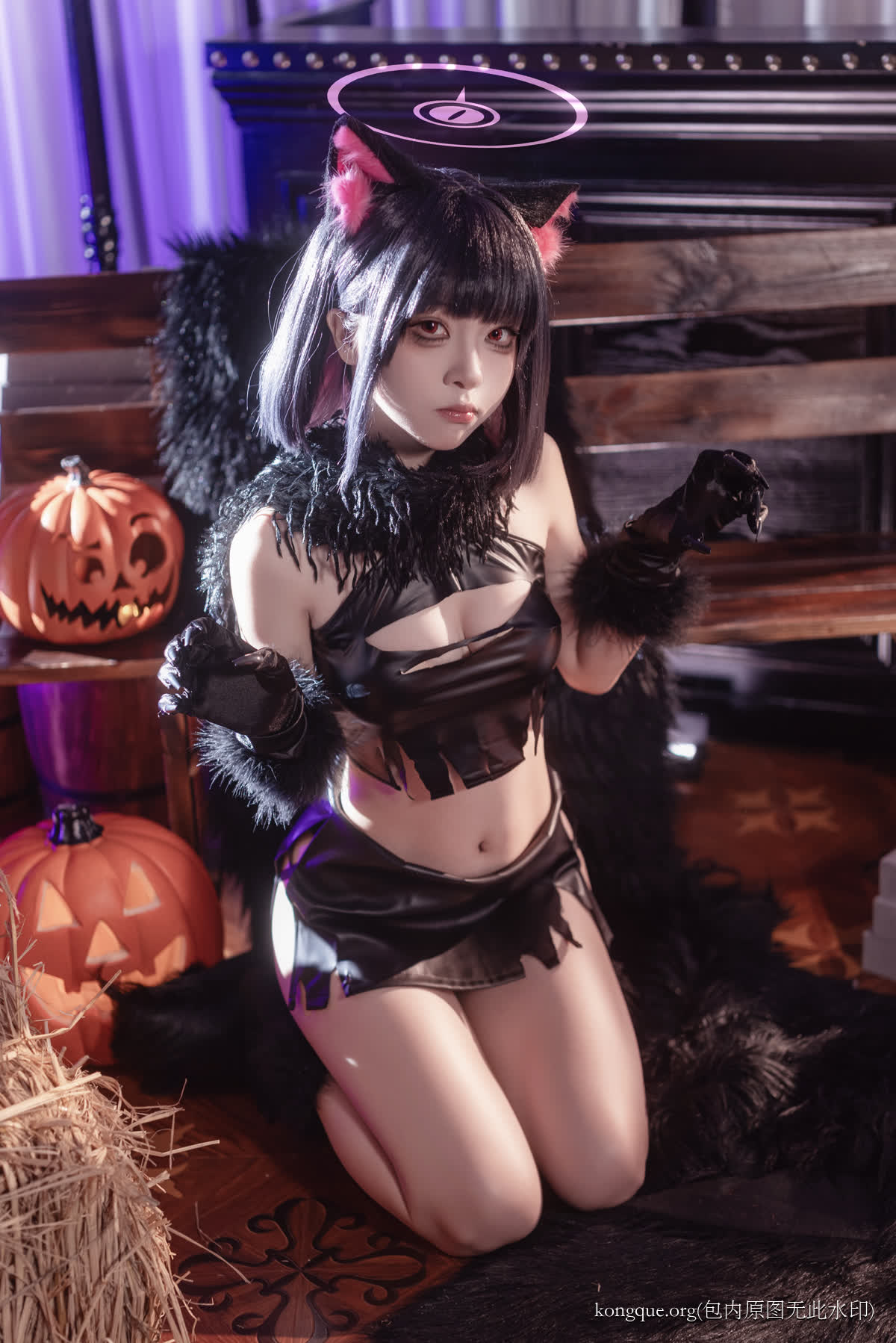 矢量鱼 – 全套16期[5.2G-2025.9]插图2