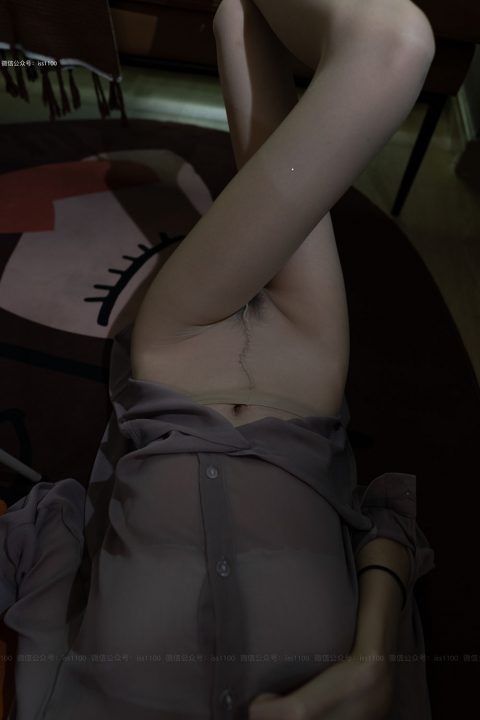 ISS系列 – 全套64期极品无内丝含配套视频[61.9G-2025.1]插图4