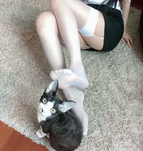 51酱 – 全套17期&随包视频[4.4G-2025.10]插图5