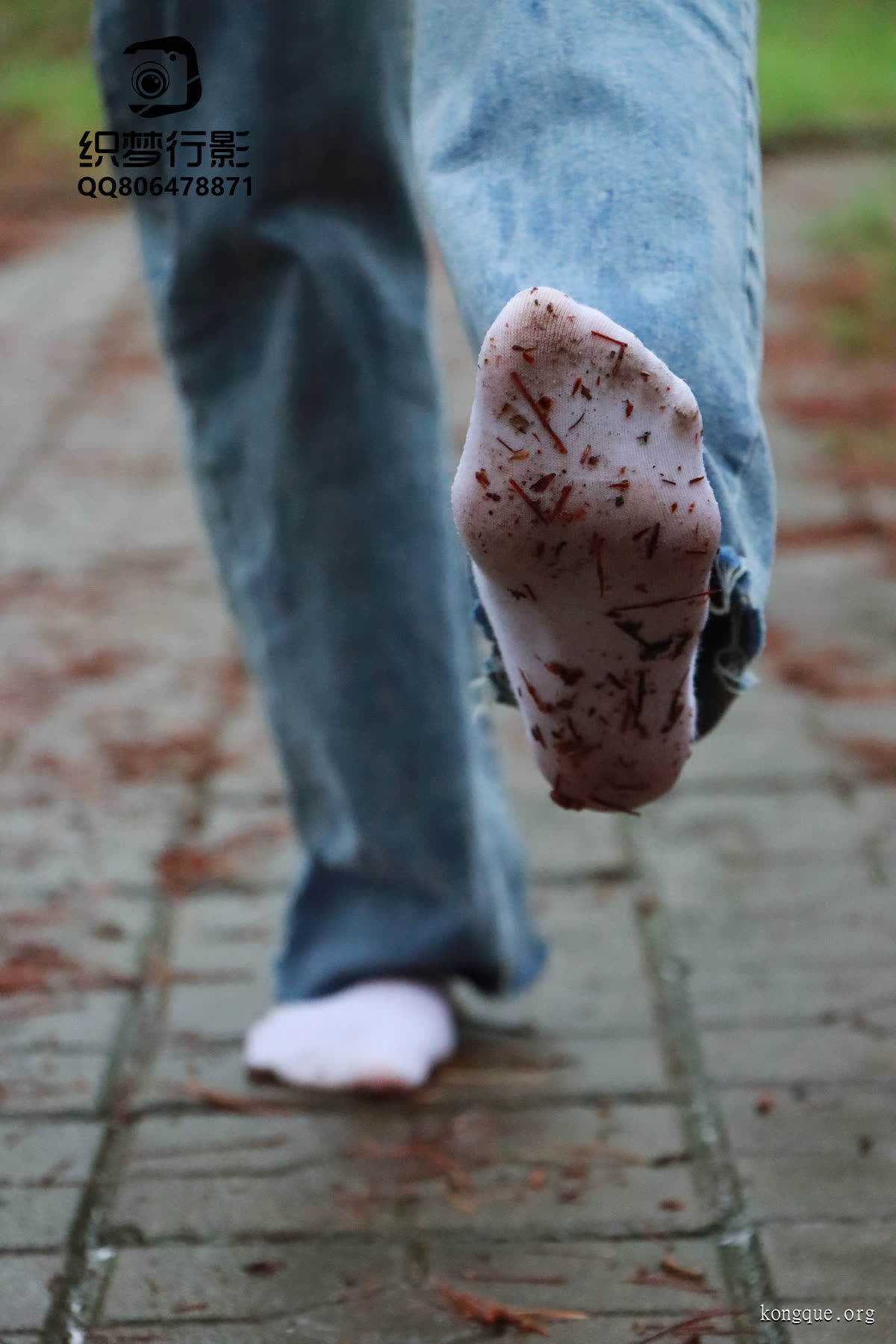 织梦映像 – 全套72期及视频合集[559G-2025.11]插图1